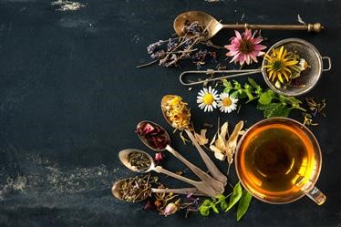 &quot;Green Tea Fat Loss Bodybuilding