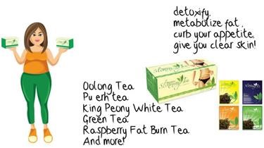 &quot;Best Green Tea Brand for Fat Burning