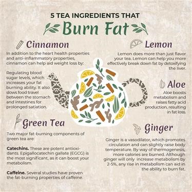 &quot;Herbex Fat Burn Tea Does It Work