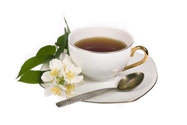 &quot;Green Tea Fat Burner Website
