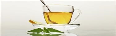 &quot;Fat Burner Green Tea Reviews