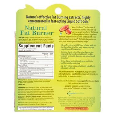 &quot;Fit Tea Fat Burner Review