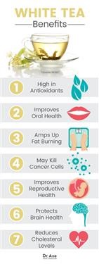 &quot;Green Tea Fat Burner in the Philippines