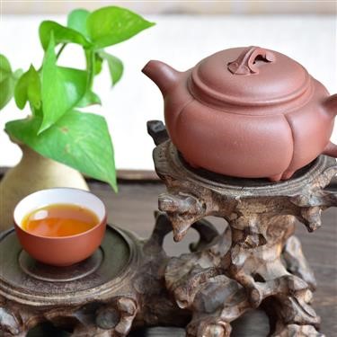 &quot;Phytogenix Ultimate Fat Burner With Green Tea Side Effects