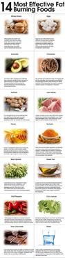 &quot;Oolong Tea vs Green Tea Fat Burning