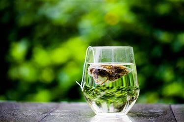 &quot;Fat Burning Tea Malaysia