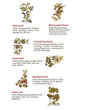 &quot;Best Fat Burner With Green Tea