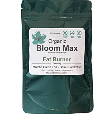 &quot;Green Tea Fat Burner Dietary Supplement 90ct