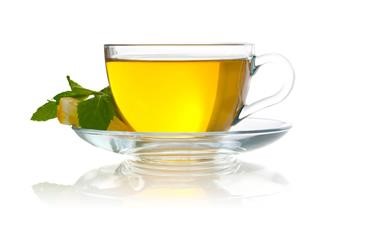&quot;Fat Burning Properties of Green Tea