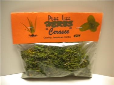 &quot;Green Tea Fat Burner Walgreens