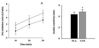 &quot;Green Tea Extract for Fat Burning