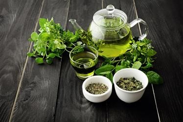 &quot;Fat Burning Green Tea and Vegetable Smoothie