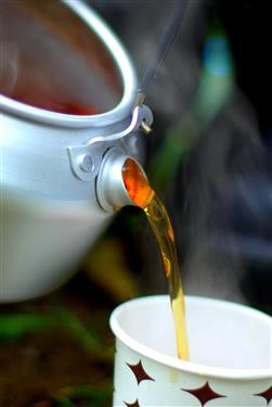 &quot;Green Tea Fat Burner Uk