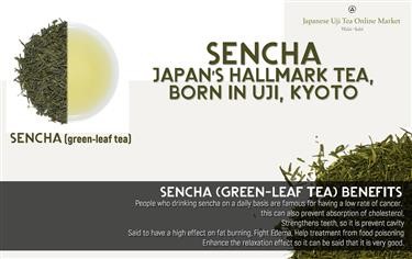&quot;Applied Nutrition Green Tea Fat Burner Dietary Supplement Reviews