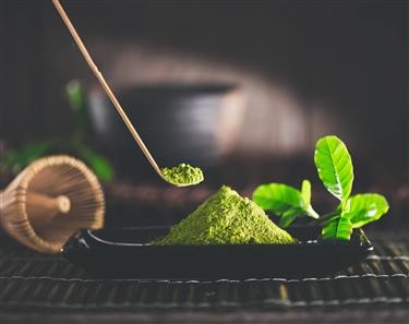 &quot;Green Tea Fat Burner Gnc