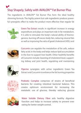 &quot;Triple Fat Burning Green Tea Reviews